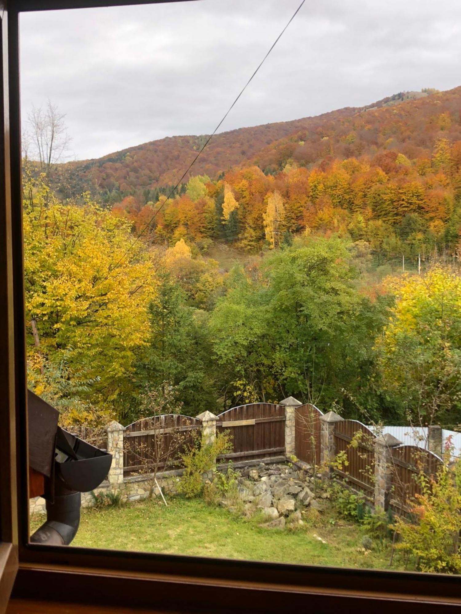 Котедж Гірський Yaremche Exterior foto