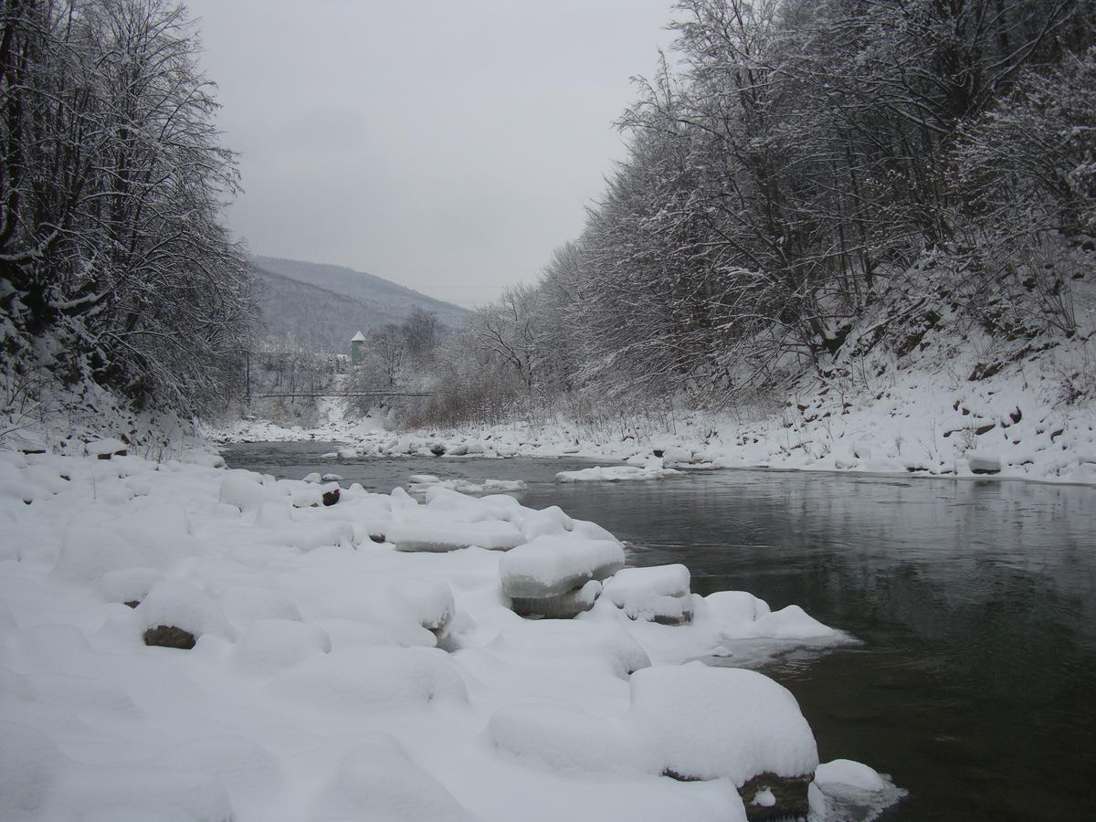 Котедж Гірський Yaremche Exterior foto